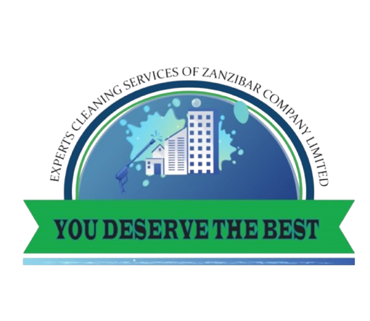 Expert Cleaning logo